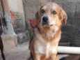 Odinho 