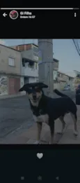 Chorão