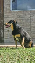 Neguinha