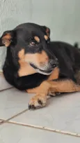 Neguinha