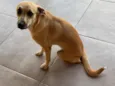 Lili