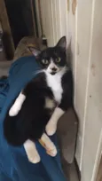 Kiara