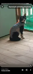 Kiara