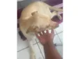 Lucky