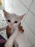 Ela é branca e já tá comendo