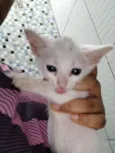 Ela é branca e já tá comendo