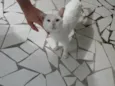 Fred 