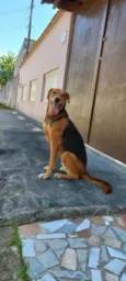 Mel