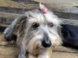 Molly