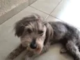 Molly