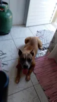 Nick 