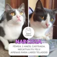 Narcissa