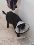 Nina 