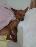 Paçoca 
