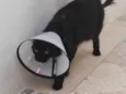 Nina