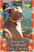 Alcione