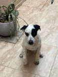 Zeus