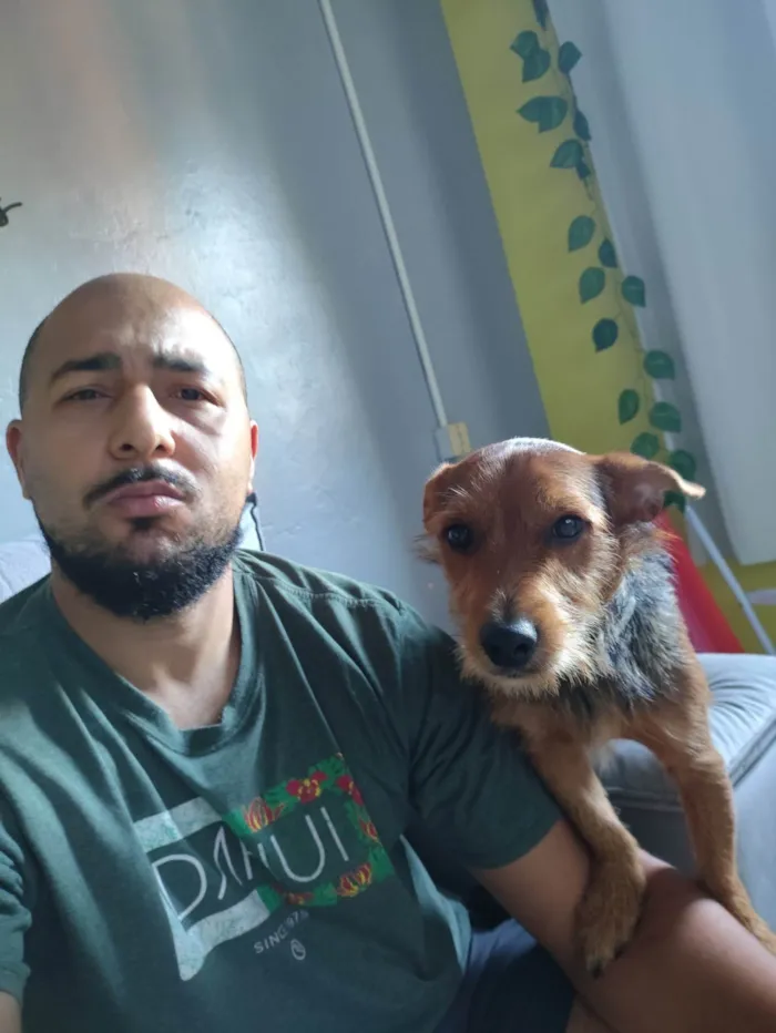 Cachorro ra a SRD-ViraLata idade 1 ano nome Tokinho