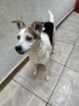 Boo