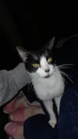 Mia