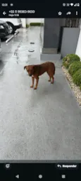 Não tem