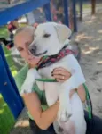 Feliz
