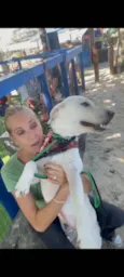 Feliz