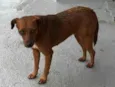 Não tem