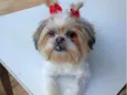 Malu