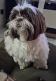 Zoe