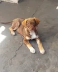 Marshall