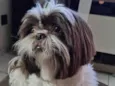 Zoe