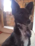 Ody