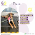  Pluto