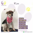 Kim
