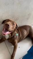Duke