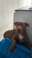 Duke