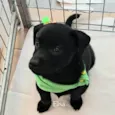 Elsa
