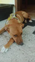 Sem nome ainda 