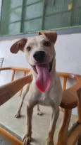 Nala