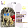 Nick