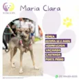 Maria Clara