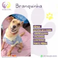 Branquinha