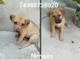 Sem nome