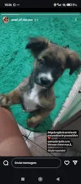 Lucy, Rex