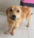 Nina