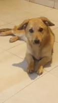 Nina