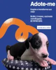 Salgadinho