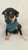 Leo