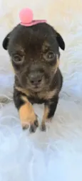 Frida